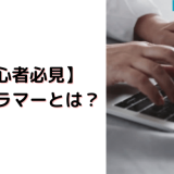 【初心者必見】プログラマーとは？